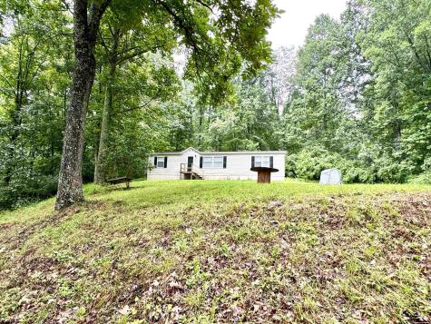 246 Featherbed Road Walkersville WV 26447
