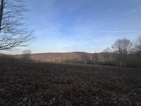 1157 Lakeford Road Terra Alta WV 26764