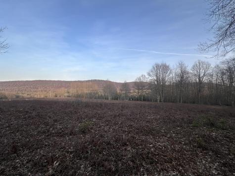 1157 Lakeford Road Terra Alta WV 26764