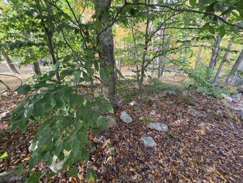 225 S Fork Road Dryfork WV 26263