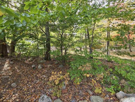 225 S Fork Road Dryfork WV 26263