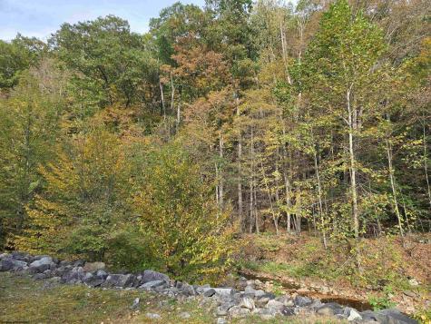 225 S Fork Road Dryfork WV 26263