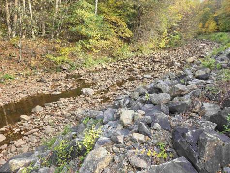 225 S Fork Road Dryfork WV 26263