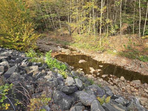 225 S Fork Road Dryfork WV 26263