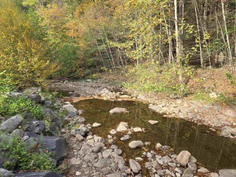 225 S Fork Road Dryfork WV 26263