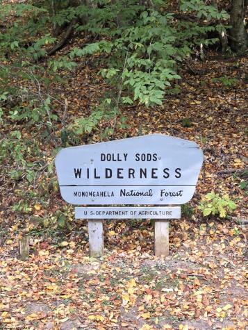 225 S Fork Road Dryfork WV 26263