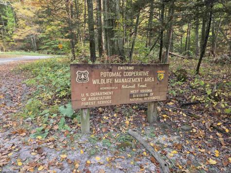 225 S Fork Road Dryfork WV 26263