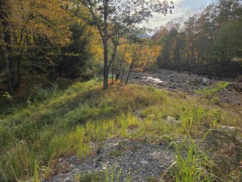 225 S Fork Road Dryfork WV 26263