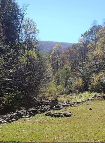 225 S Fork Road Dryfork WV 26263
