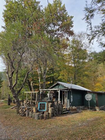 225 S Fork Road Dryfork WV 26263