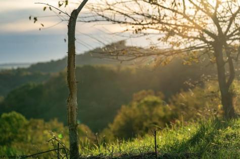 379 Rahm Drive Proctor WV 26055