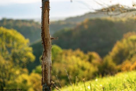 379 Rahm Drive Proctor WV 26055