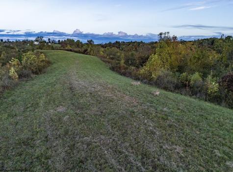 379 Rahm Drive Proctor WV 26055