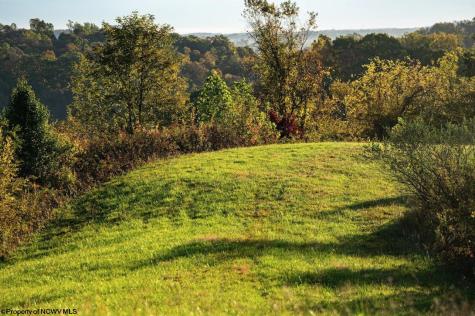 379 Rahm Drive Proctor WV 26055