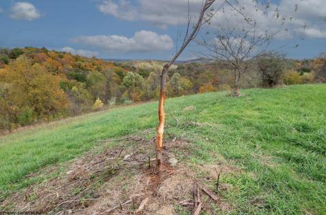 379 Rahm Drive Proctor WV 26055