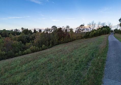 379 Rahm Drive Proctor WV 26055
