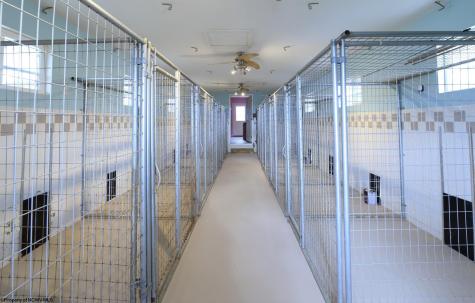 379 Rahm Drive Proctor WV 26055