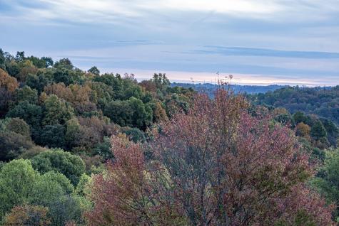 379 Rahm Drive Proctor WV 26055