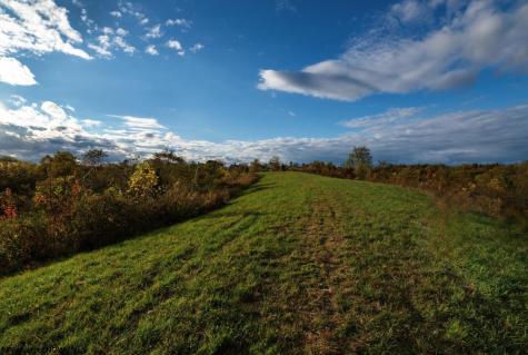 379 Rahm Drive Proctor WV 26055