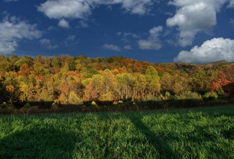 379 Rahm Drive Proctor WV 26055