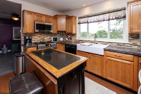 379 Rahm Drive Proctor WV 26055