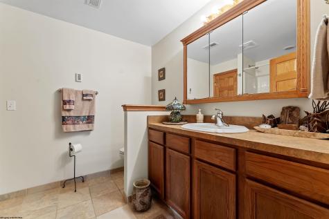 81 Homestead Lane Bruceton Mills WV 26525