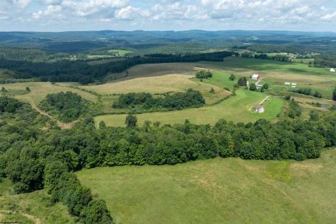 81 Homestead Lane Bruceton Mills WV 26525
