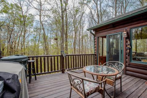 1755 E Alpine Drive Terra Alta WV 26764