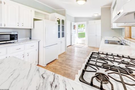 107 Mountaineer Drive Reedsville WV 26547