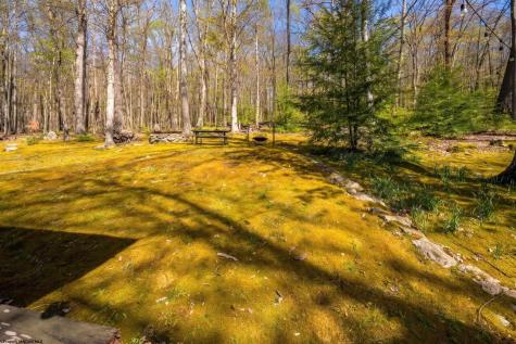 4502 Hileman Road Bruceton Mills WV 26525