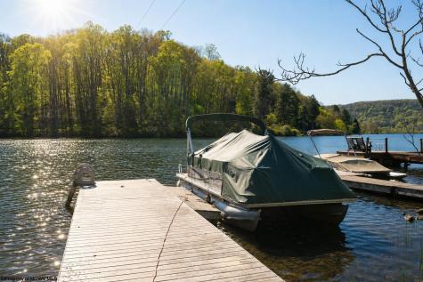 4502 Hileman Road Bruceton Mills WV 26525