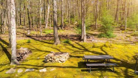 4502 Hileman Road Bruceton Mills WV 26525