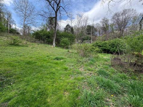 224 Bretz Street Morgantown WV 26505