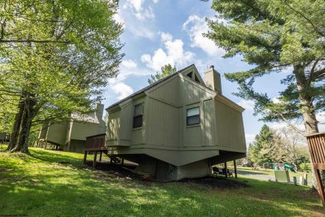 89 Honey Pot Lane Davis WV 26260