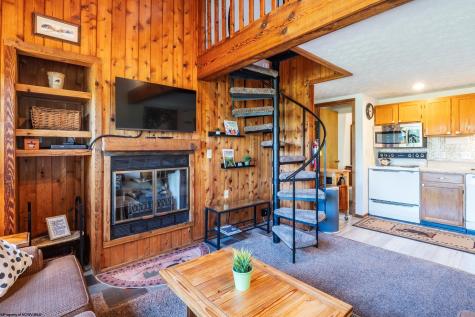 89 Honey Pot Lane Davis WV 26260
