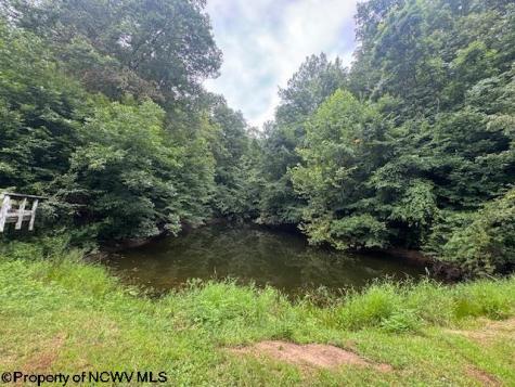 1683 Range Road Wadestown WV 26590