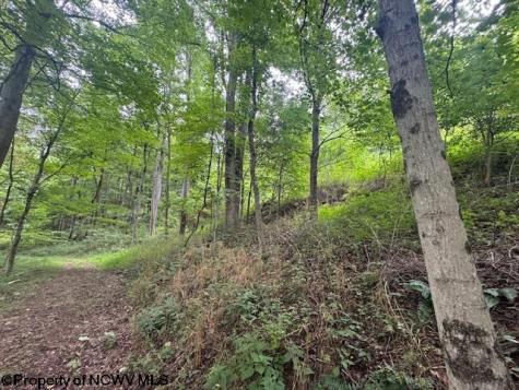 1683 Range Road Wadestown WV 26590