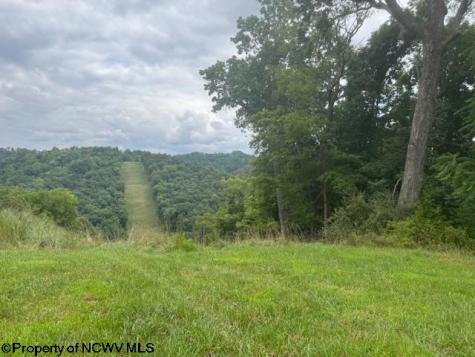 1683 Range Road Wadestown WV 26590