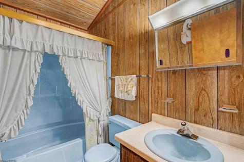236 Pine Drive Terra Alta WV 26764
