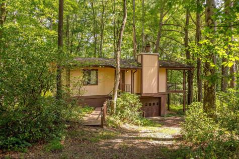 236 Pine Drive Terra Alta WV 26764
