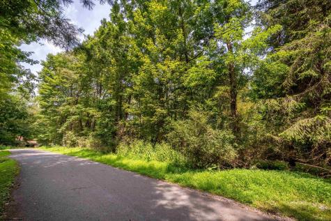 236 Pine Drive Terra Alta WV 26764