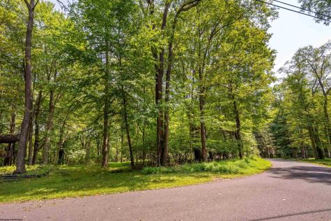236 Pine Drive Terra Alta WV 26764