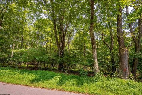 236 Pine Drive Terra Alta WV 26764