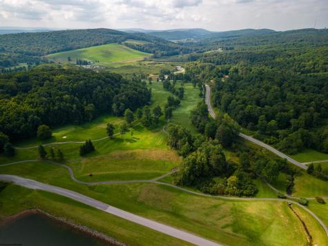236 Pine Drive Terra Alta WV 26764