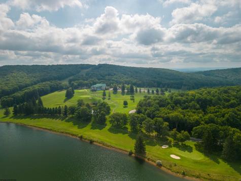 236 Pine Drive Terra Alta WV 26764