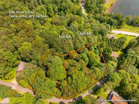 236 Pine Drive Terra Alta WV 26764