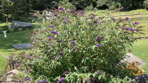 13069 Morgantown Pike Moatsville WV 26250