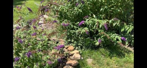 13069 Morgantown Pike Moatsville WV 26250