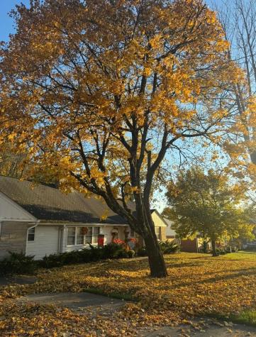 114 High Street Elkins WV 26241