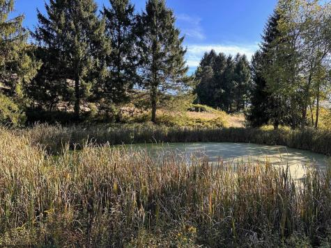 3785 Grafton Road Morgantown WV 26508-359